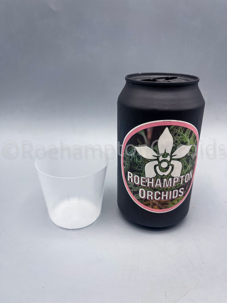 Clear slotted inner pot