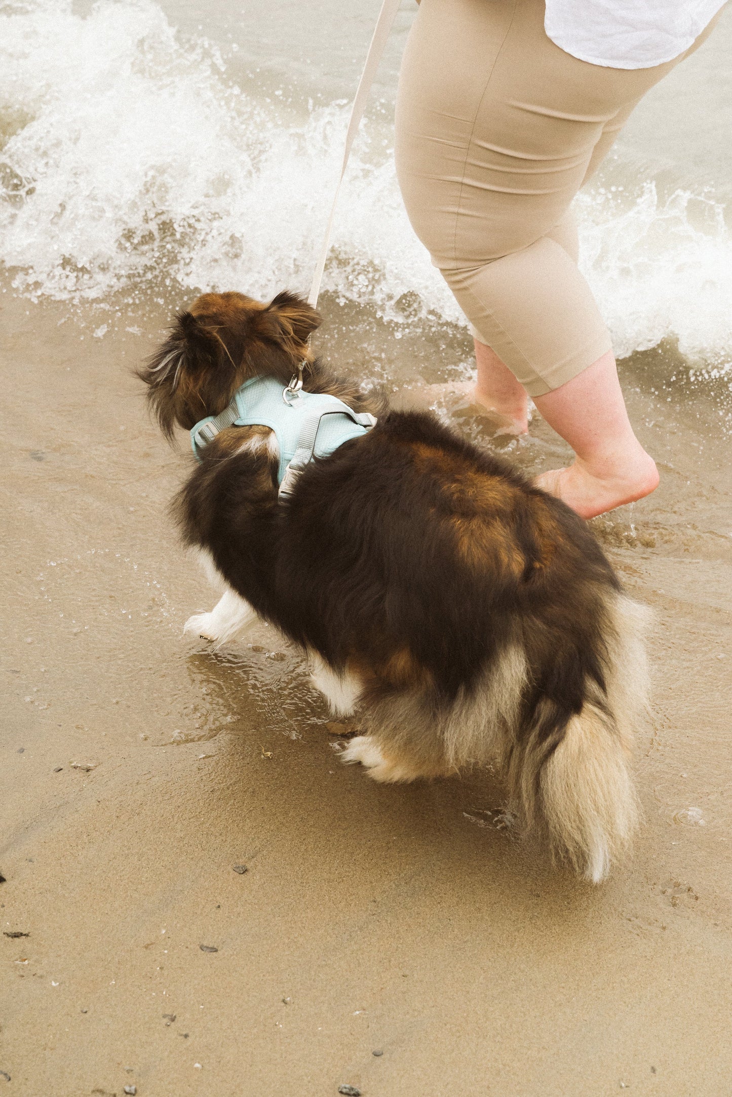 Classic 2.0 Harness Breeze