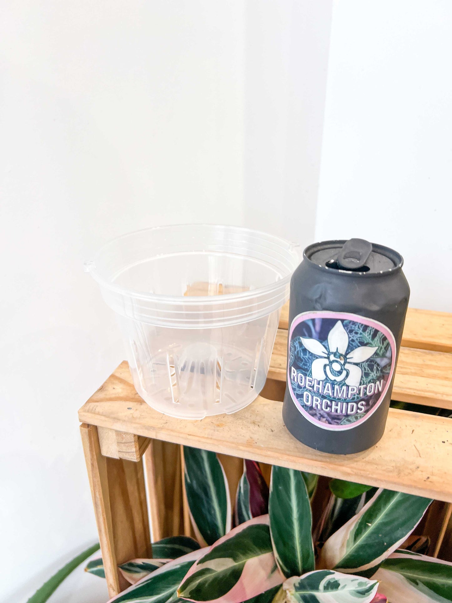 Hangable transparent slotted basket pot