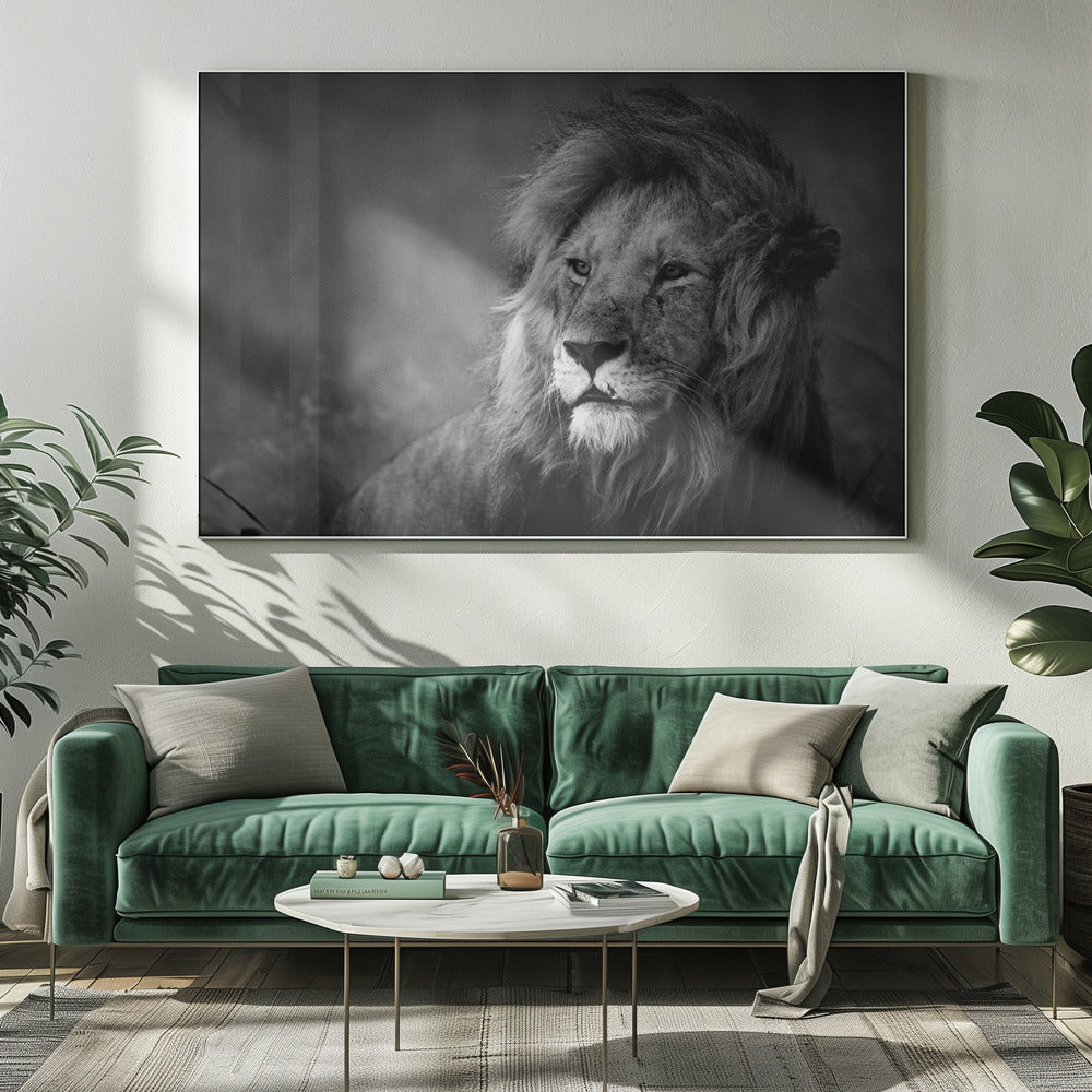 Wall art Regal. Lion