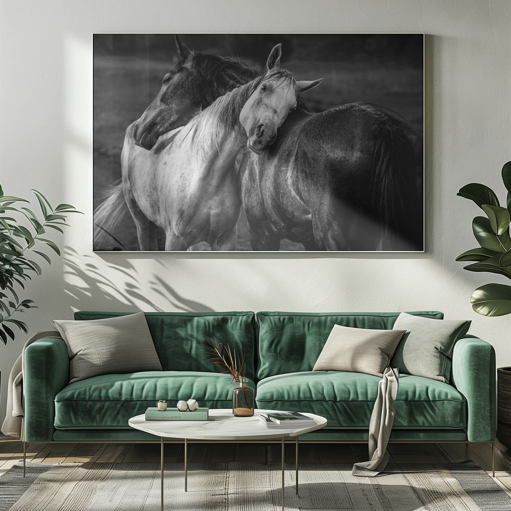 Wall art Warm rain Horses Canvas Print