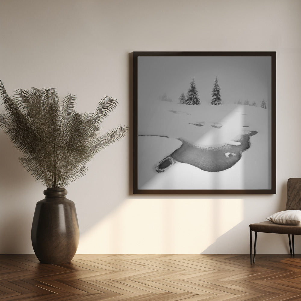 Wall art Frozen swamps