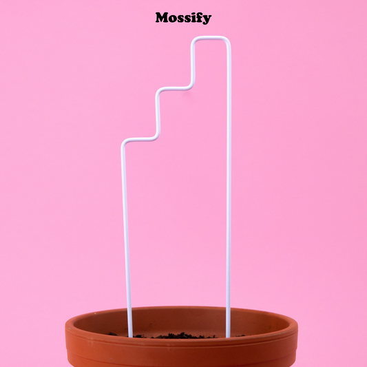 "Plant Stairs" Metal Trellis