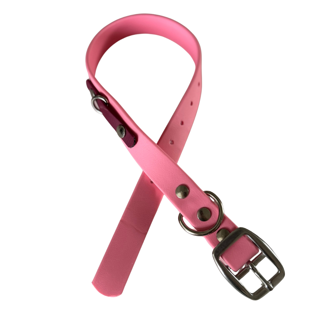 Promo Spéciale sur le Collier standard 1" en Biothane pour Chien – Fait Main au Québec