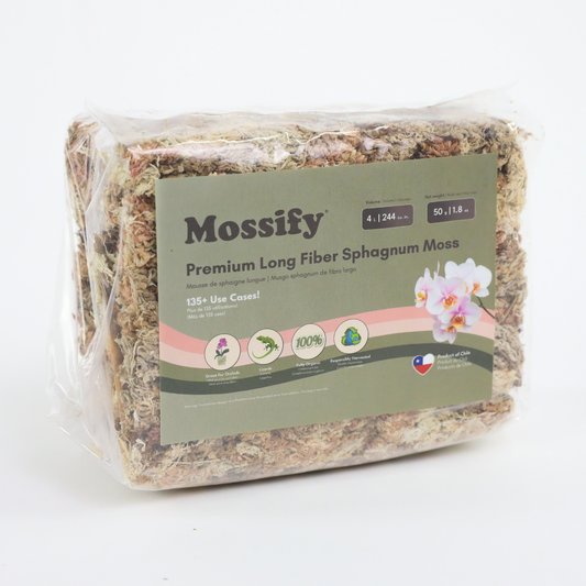 Premium Sphagnum Moss