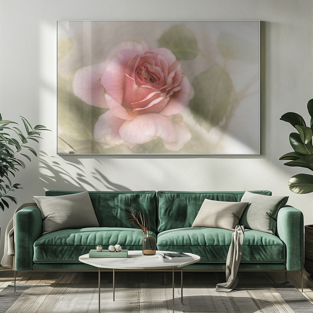 Wall Art smooth rose