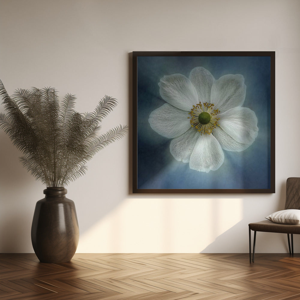 Wall Art Princes Anne-Mone