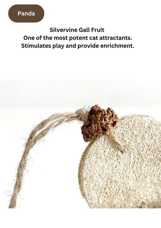 Silvervine Tumblers - Canary / Panda