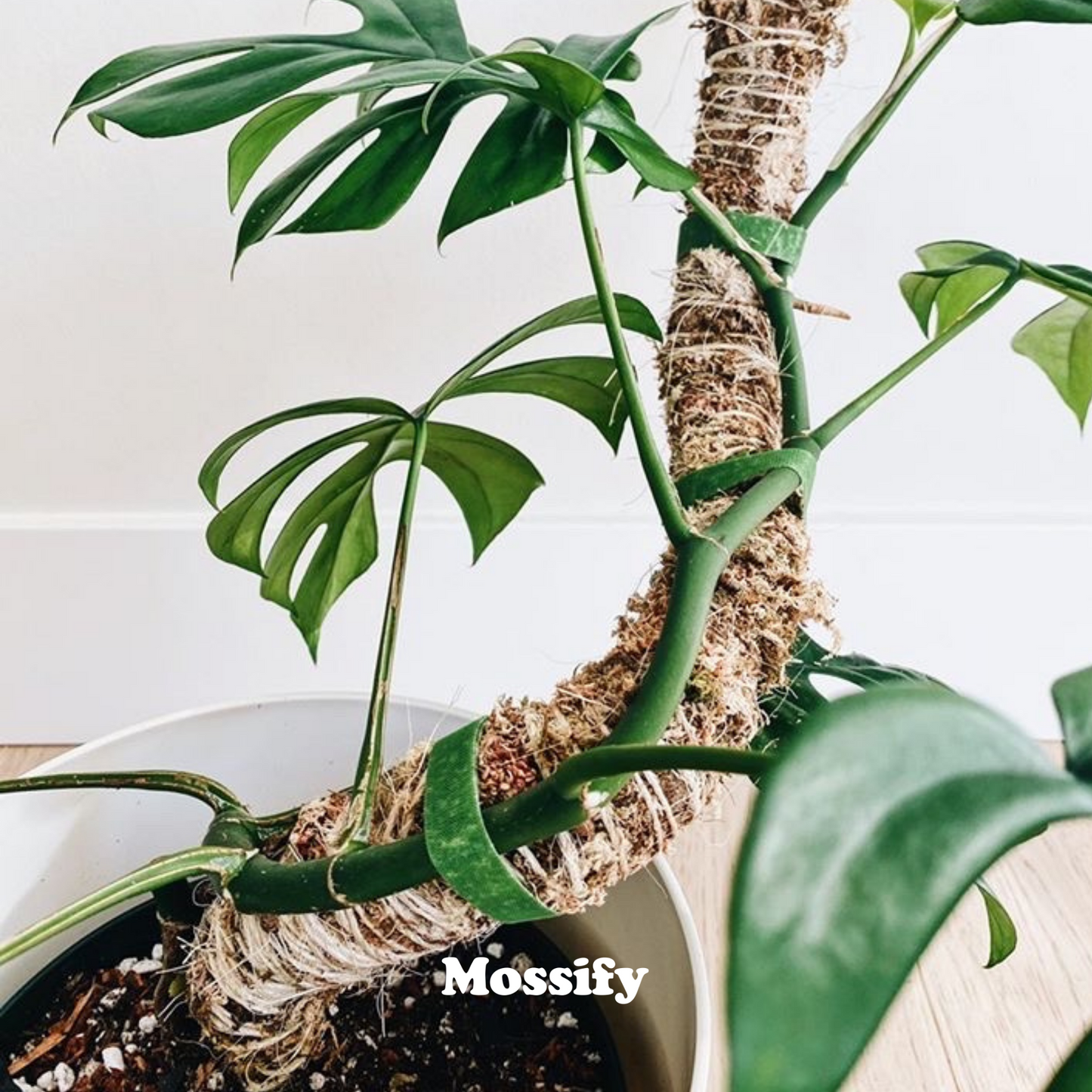 The Original Bendable Moss Pole⢠- Best Seller (Pins Included)