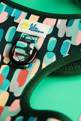 Adjustable Dog Harness Amazônia Tribe | Lila Pawtique