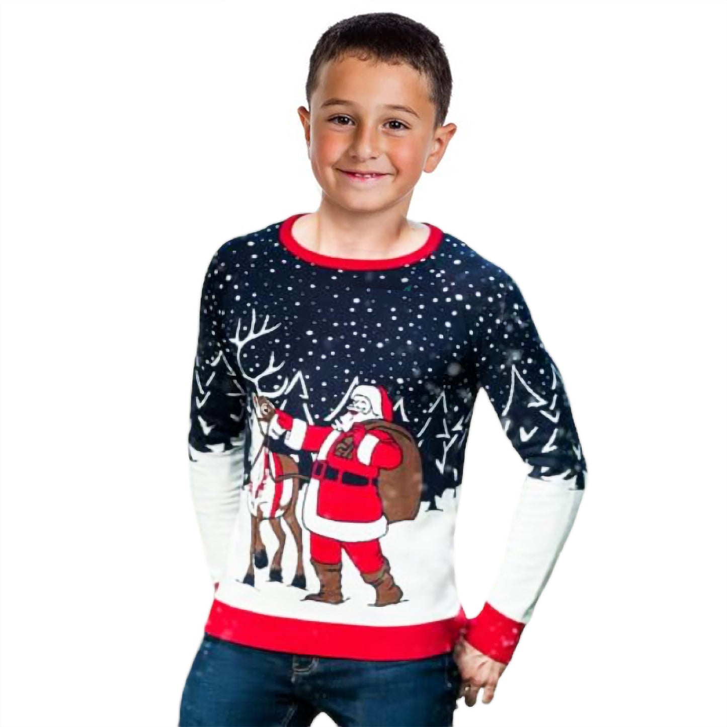 Santa And Reindeer Sweater