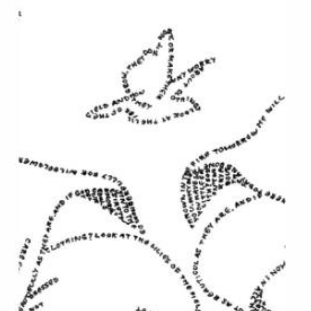 Lillies & Birds (Matthew 6) | Closer Look Greeting Card