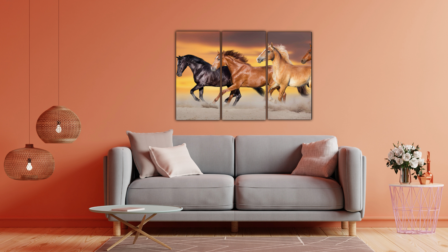 Split canvas prints 60" x 40" Triptych 20" x 40"