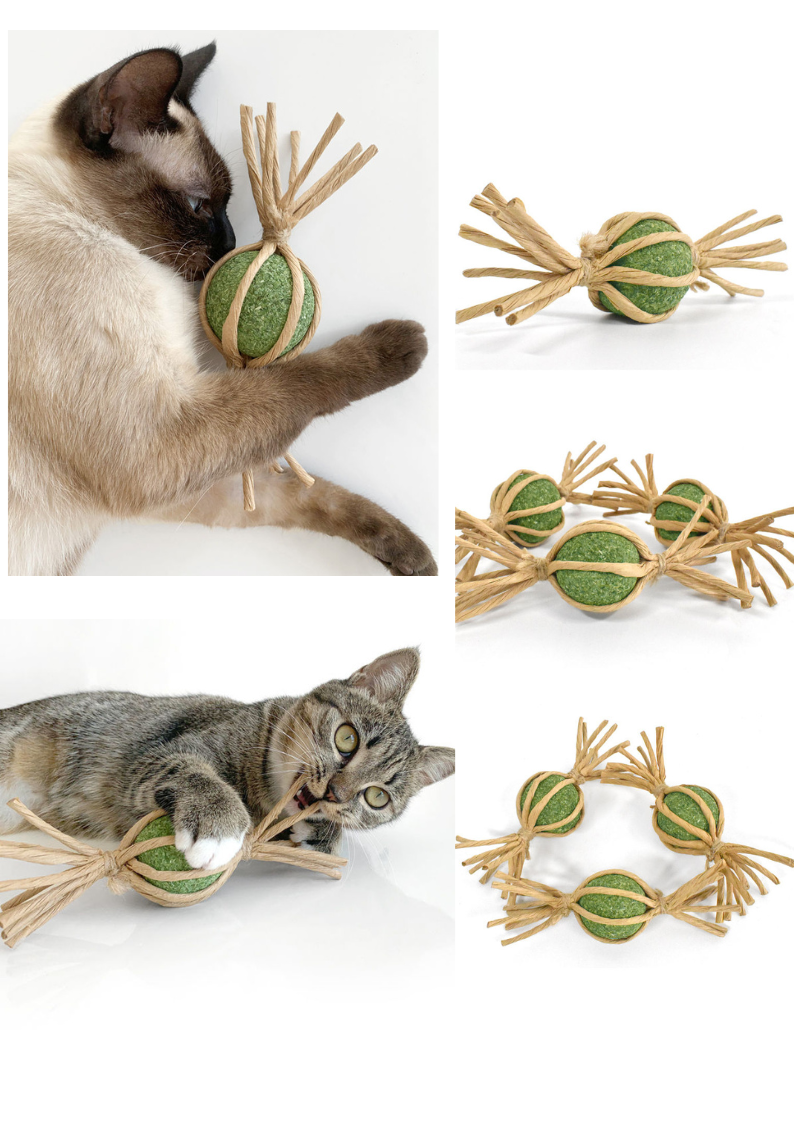 Woven Silvervine Gall Fruit Candy With Catnip Ball