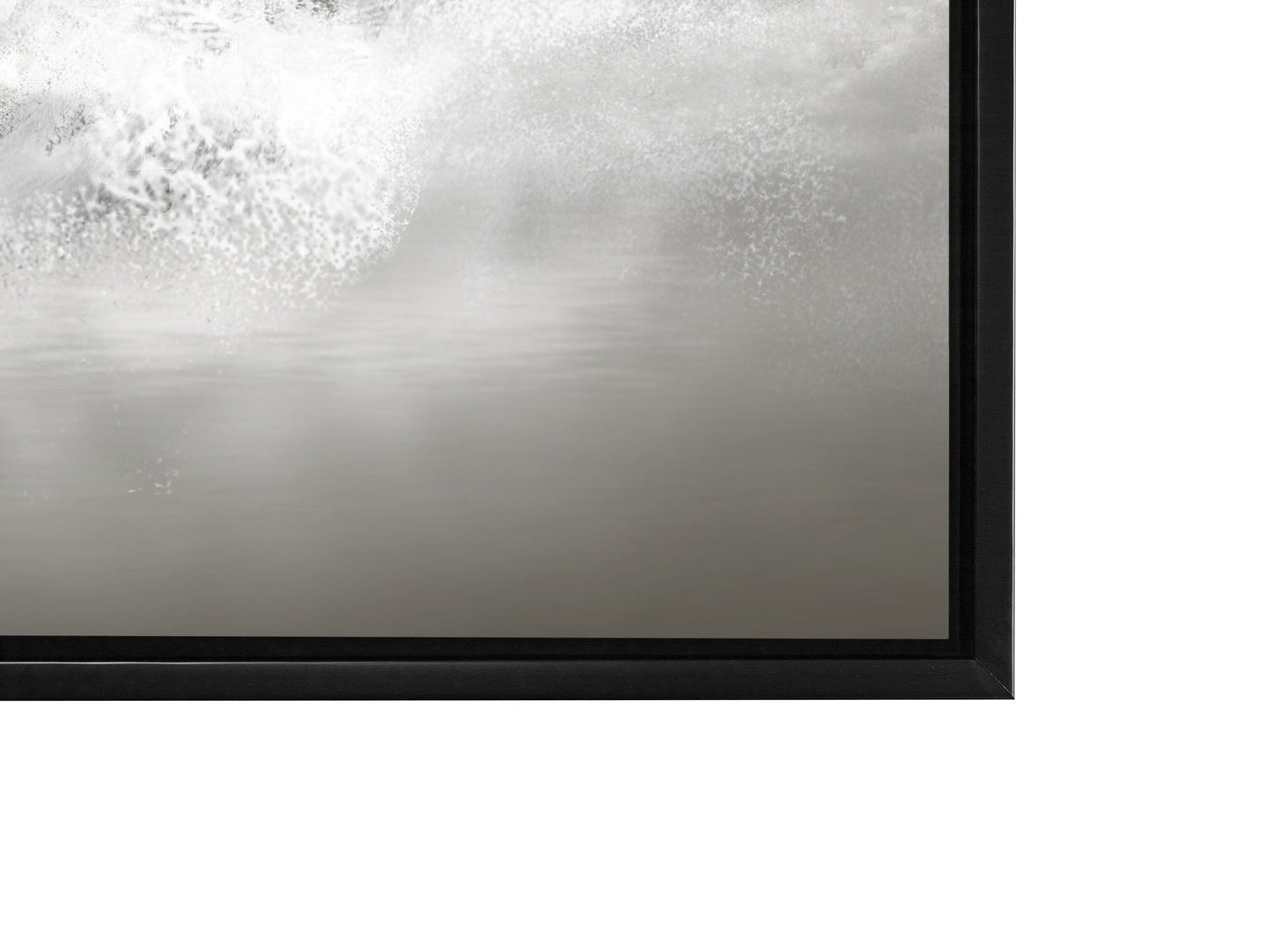 Wall Art Black and White Stallions - Animal Print Canvas