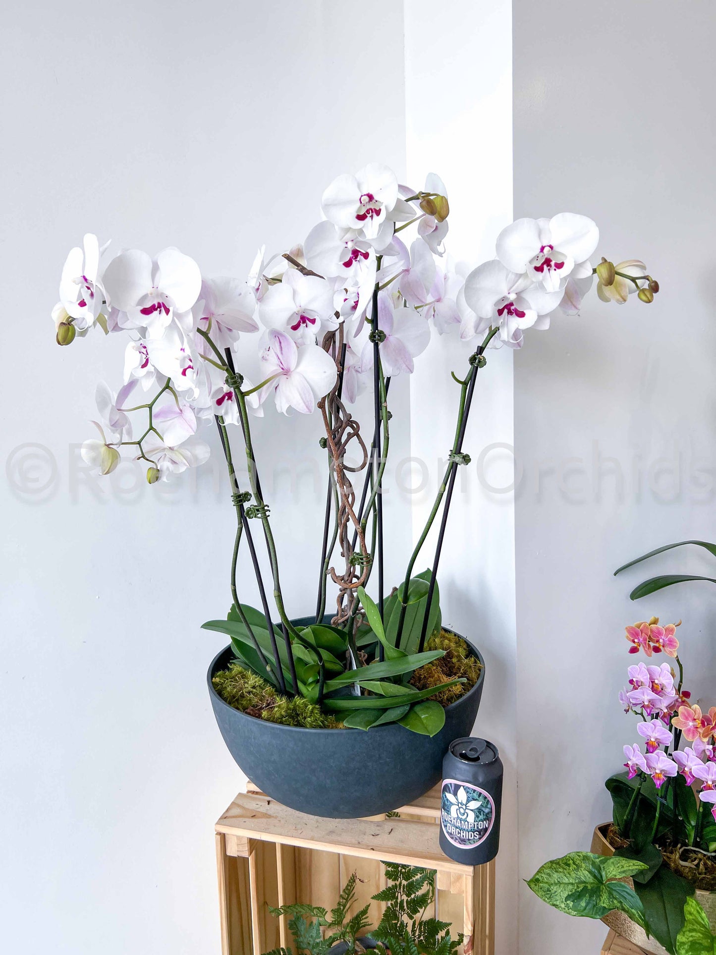 Onyx Stone Arrangement (4 or 5)