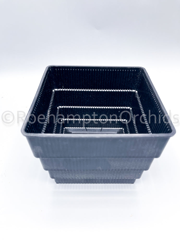 Clear square ultra aerated pots