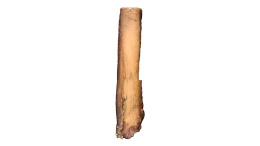 6" Monster Bully Stick