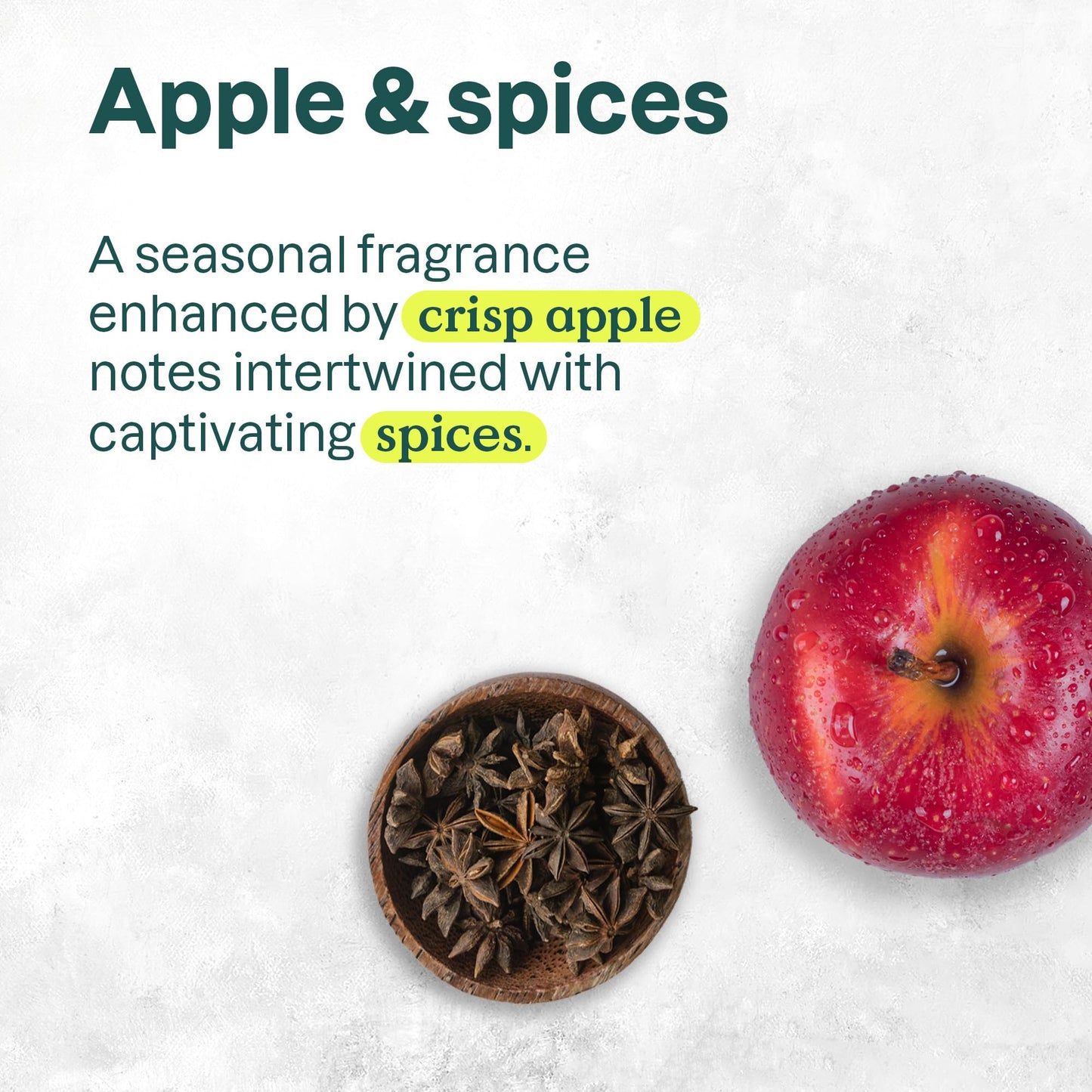 Attitude - Hand Soap - Apple & Spices (473ml)