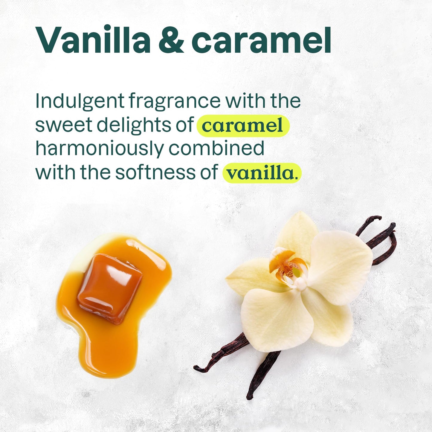 Attitude - Hand Soap - Vanilla Caramel (473ml)