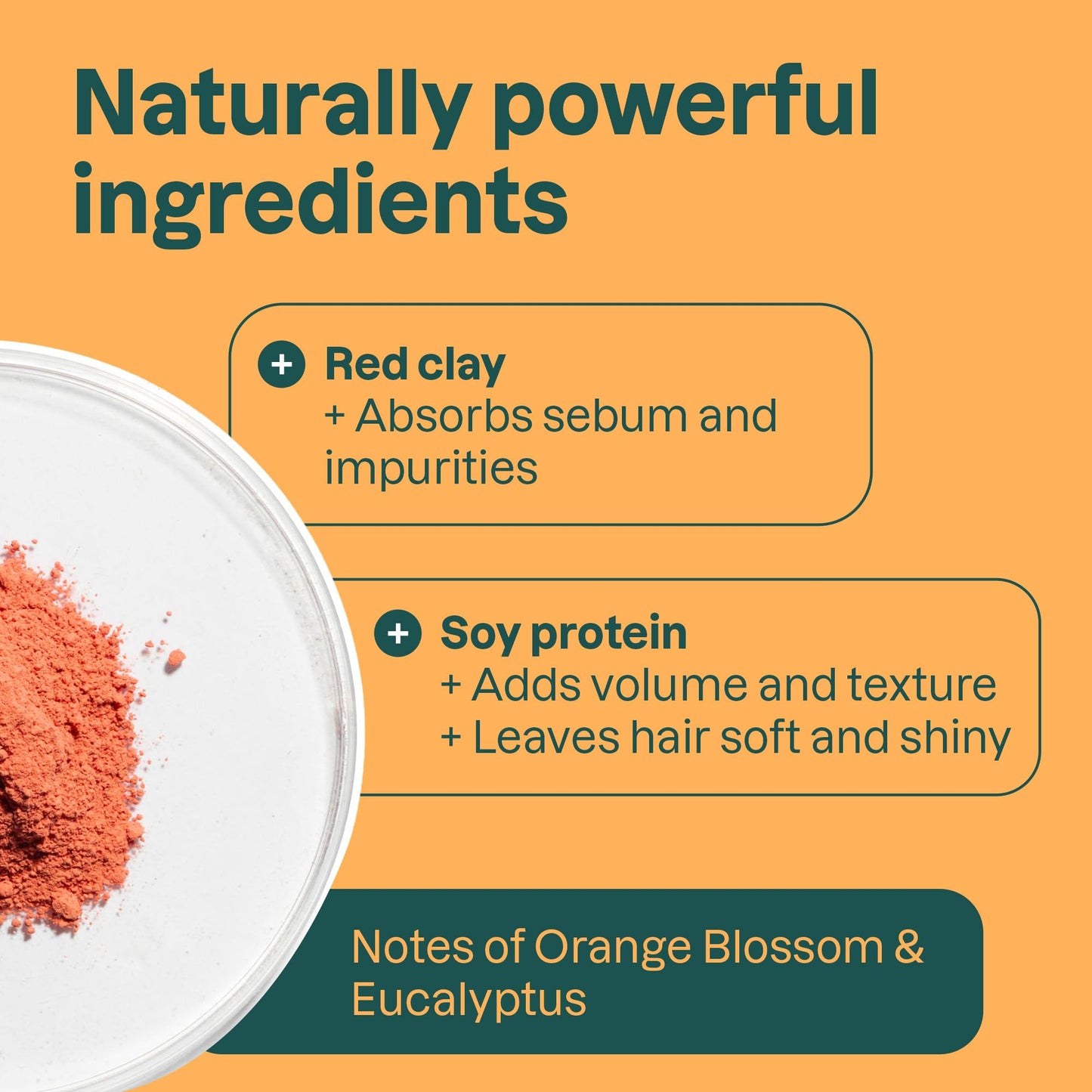 Attitude - Volume & Shine Shampoo Bar (113g)