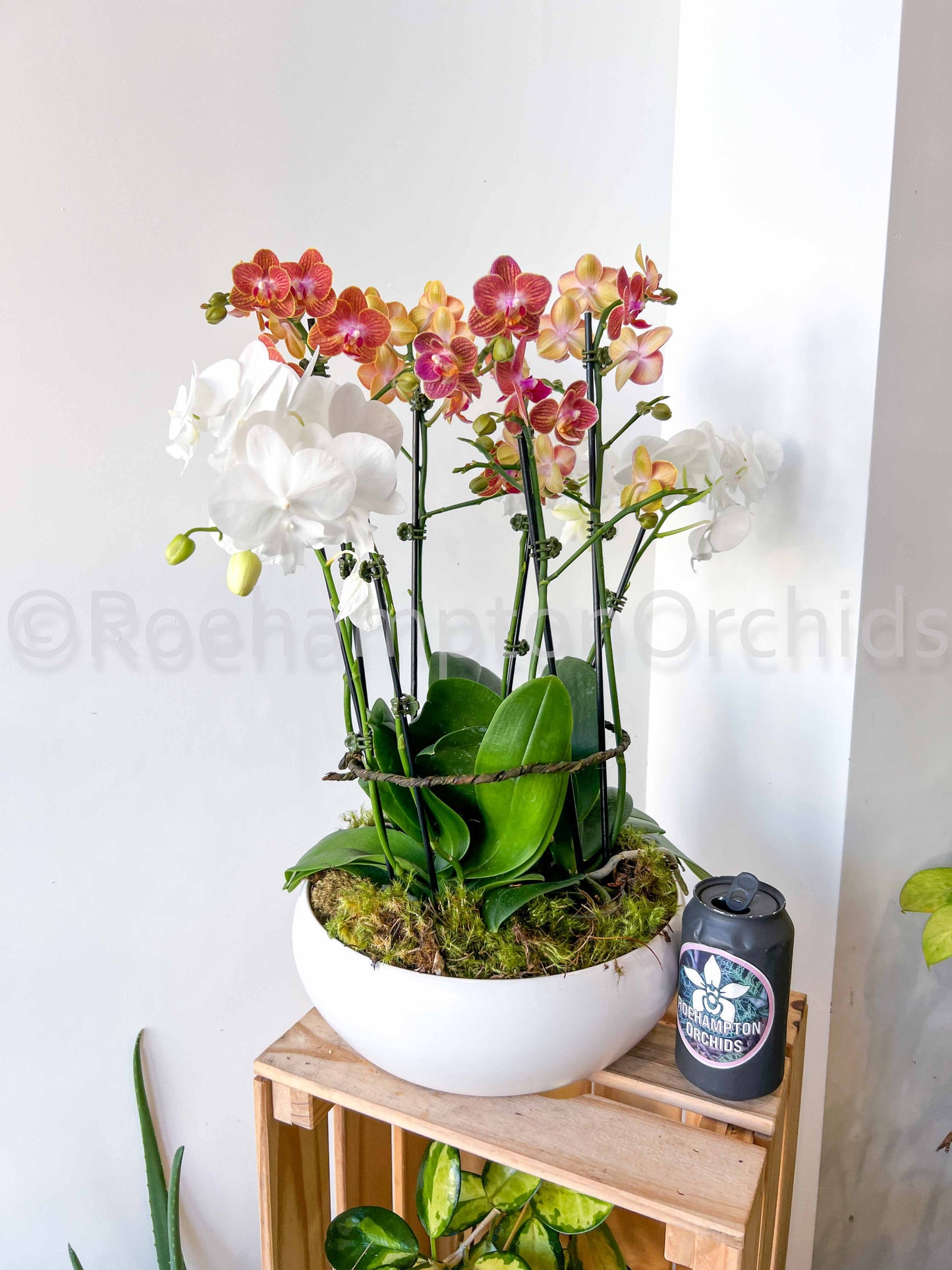 The Nordic Opal Garden