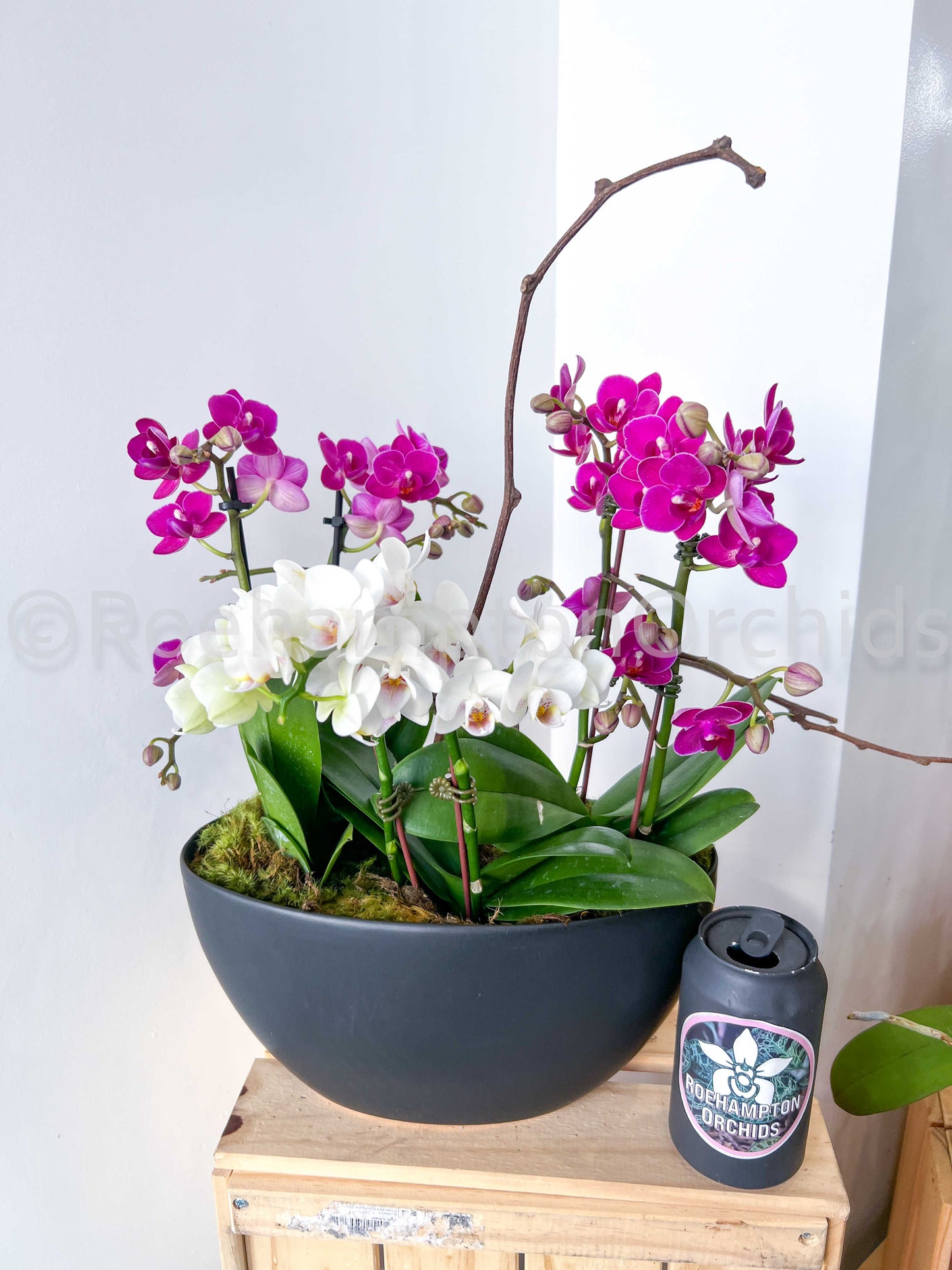 The Moonlit Obsidian Boat