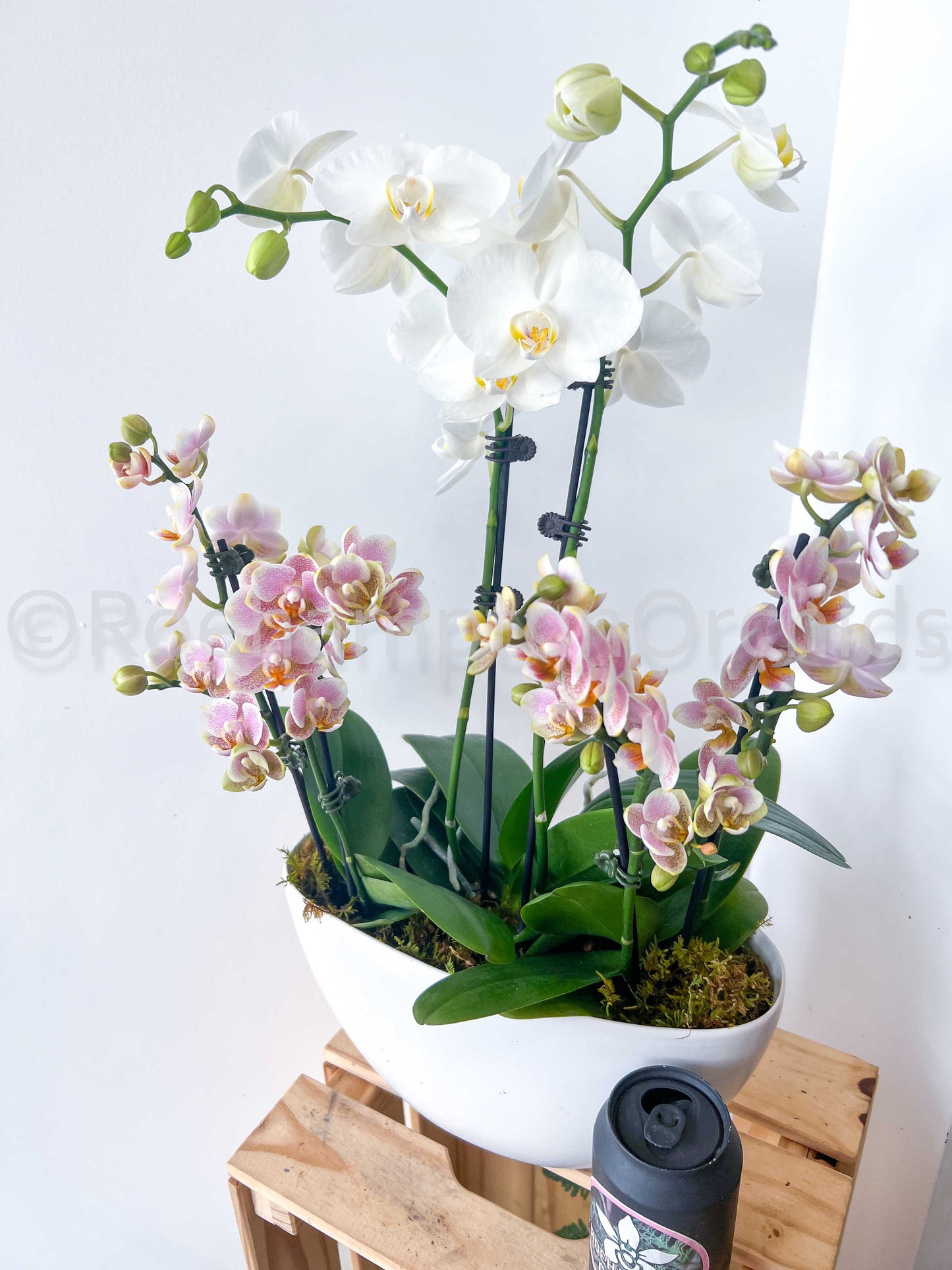 The Nordic Opal Boat