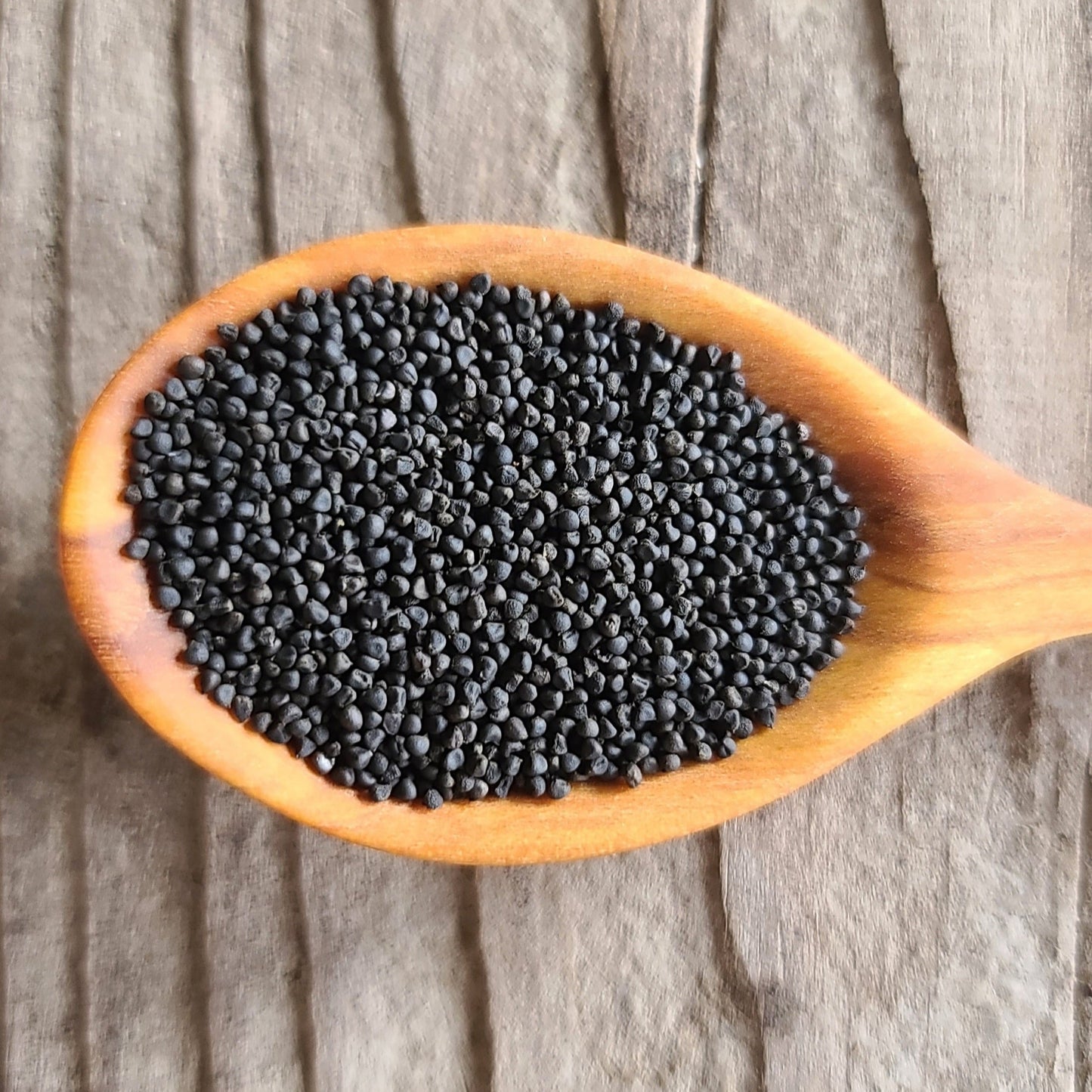 Idaho Blue-Eyed Grass