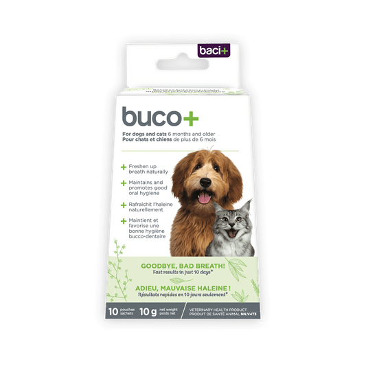 Buco+ 10 Jours – Traitement Express Mauvaise Haleine pour Chiens & Chats
