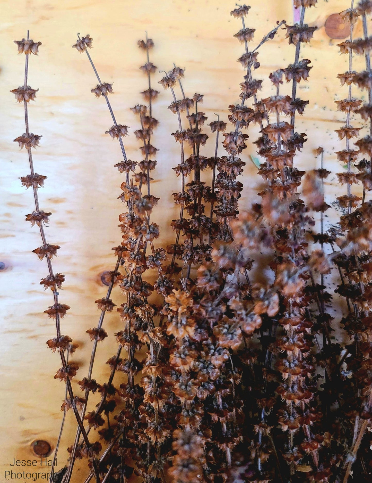 Edible Habitat Bouquet