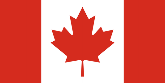 Ring Tree Kit: 240 LED White Lights