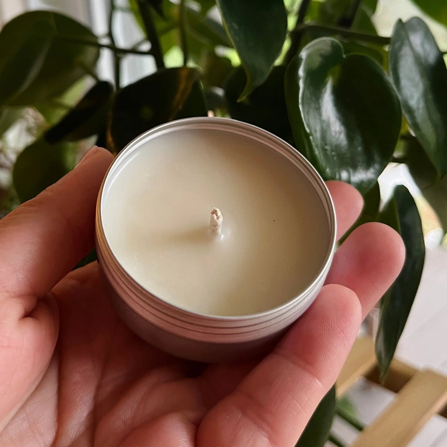 CONSTANTIA cèdre et ambre