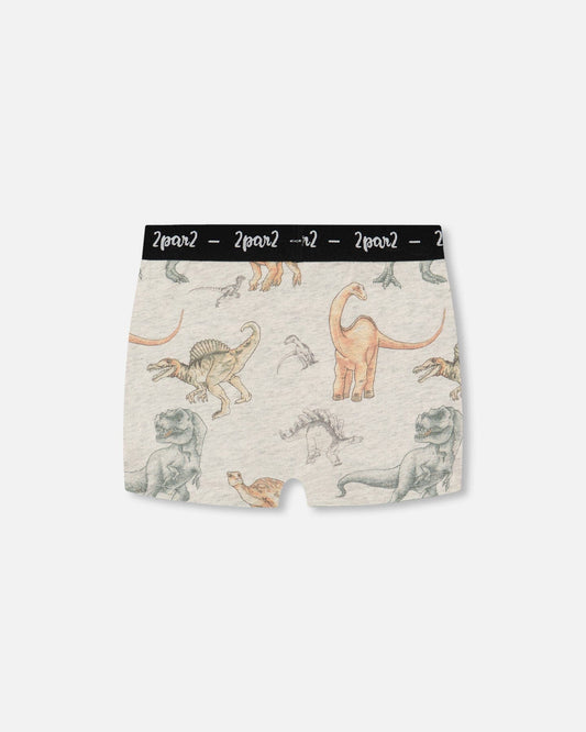 Printed Organic Cotton Boxer Shorts Dinosaur On Mottled And Tan Background