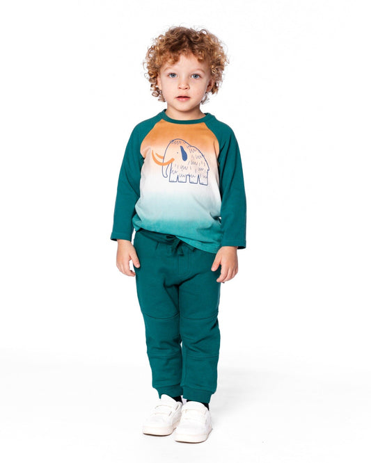 Organic Cotton Jersey Raglan Sleeve T-Shirt Forest Green