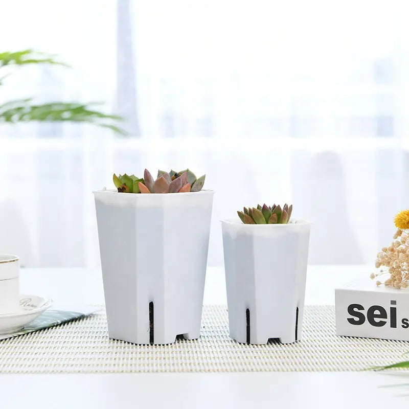 Tall transparent square pot