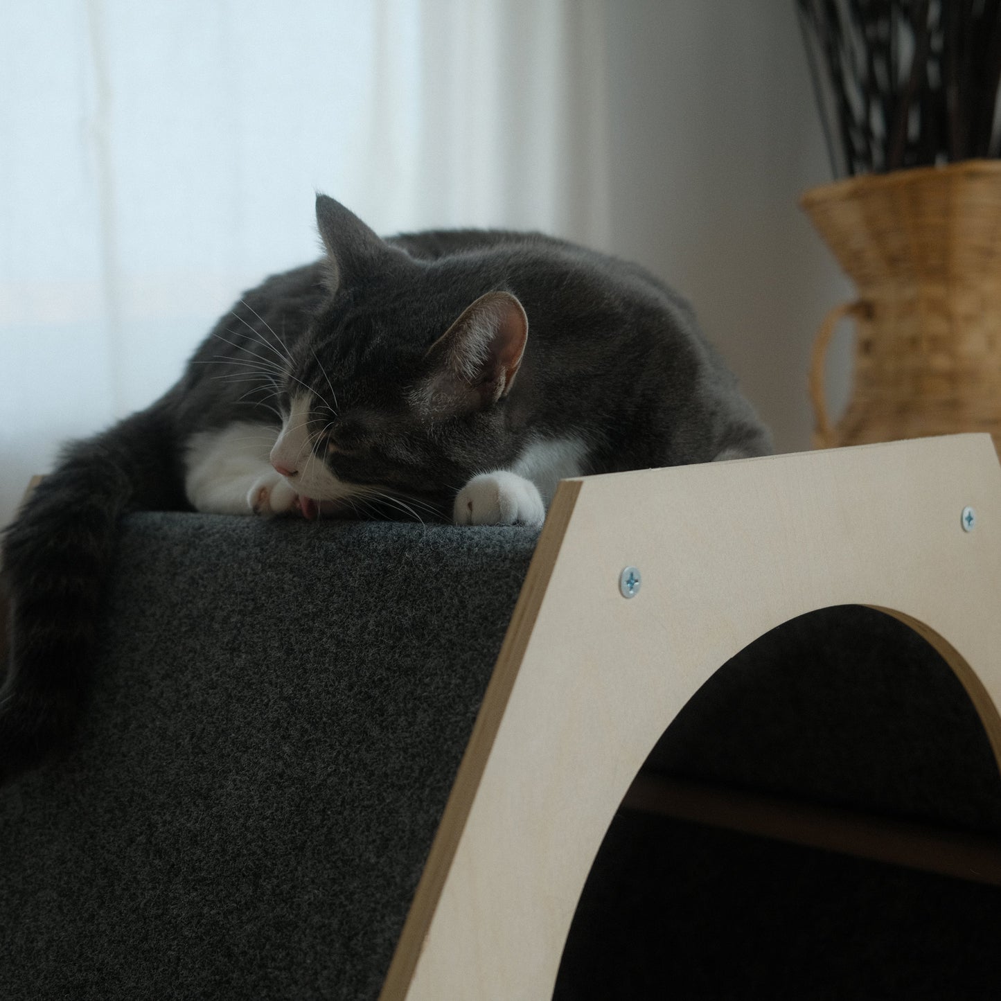 The Hexagone Scratchable Cat House