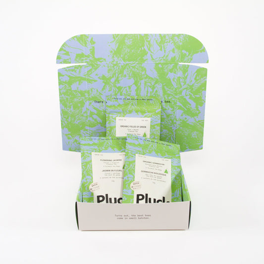 Coffret d'échantillons de thé vert