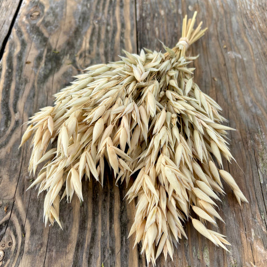 Hulless Oats Spray