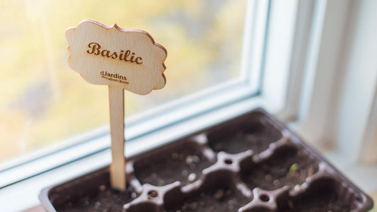 Identificateurs pour plants de légumes ou fines herbes