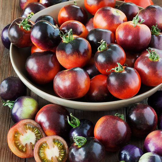 Indigo Rose Tomato