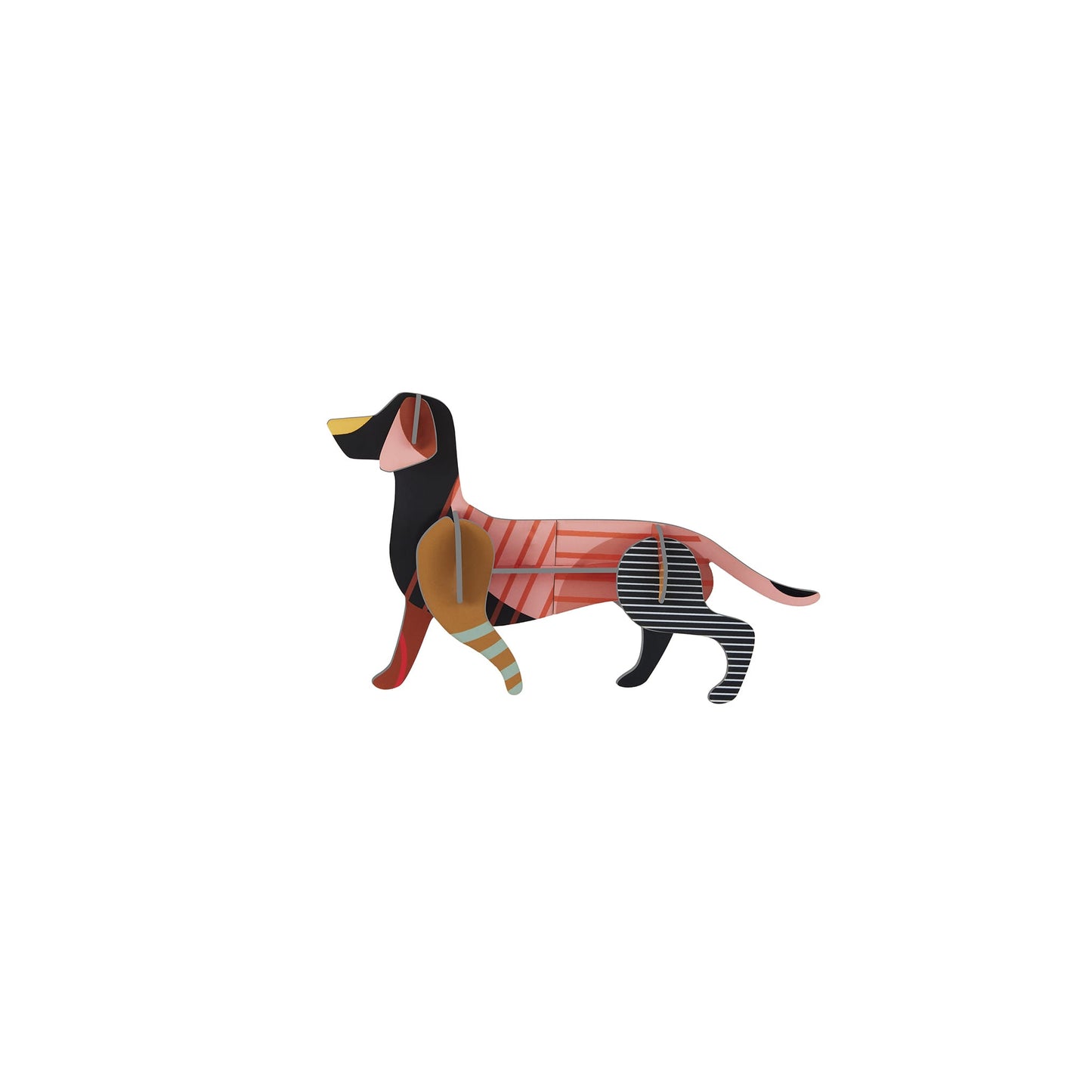 Dachshund