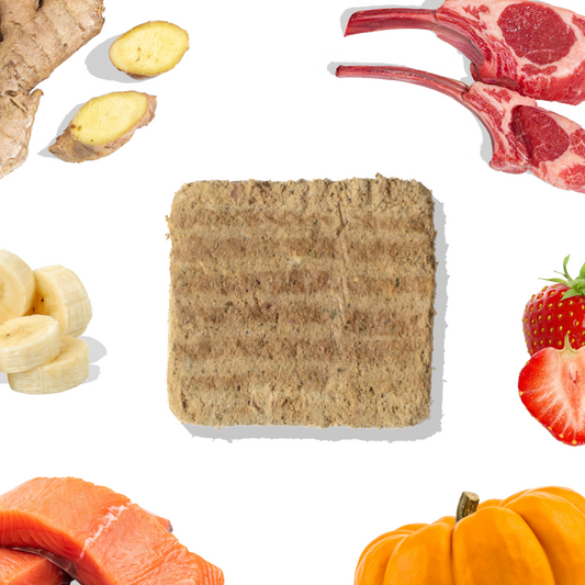 Lamb+Salmon Meal Patties