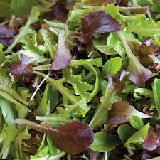 Lettuce Mix