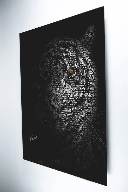 Metal Print The Tiger