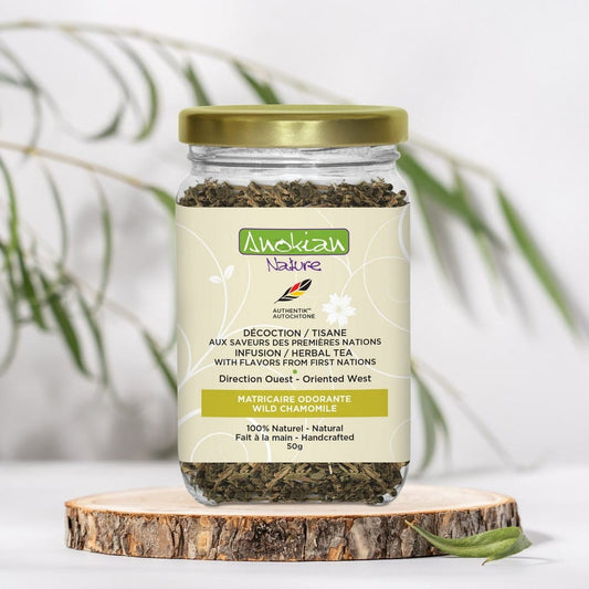 Tisane | Matricaire odorante