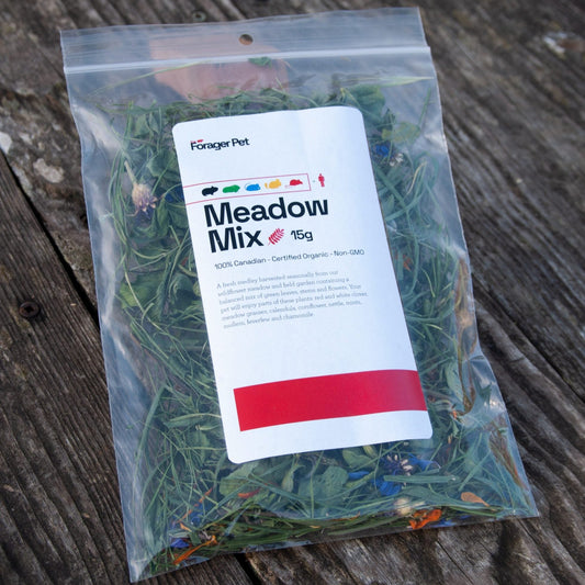 Meadow Foraging Mix