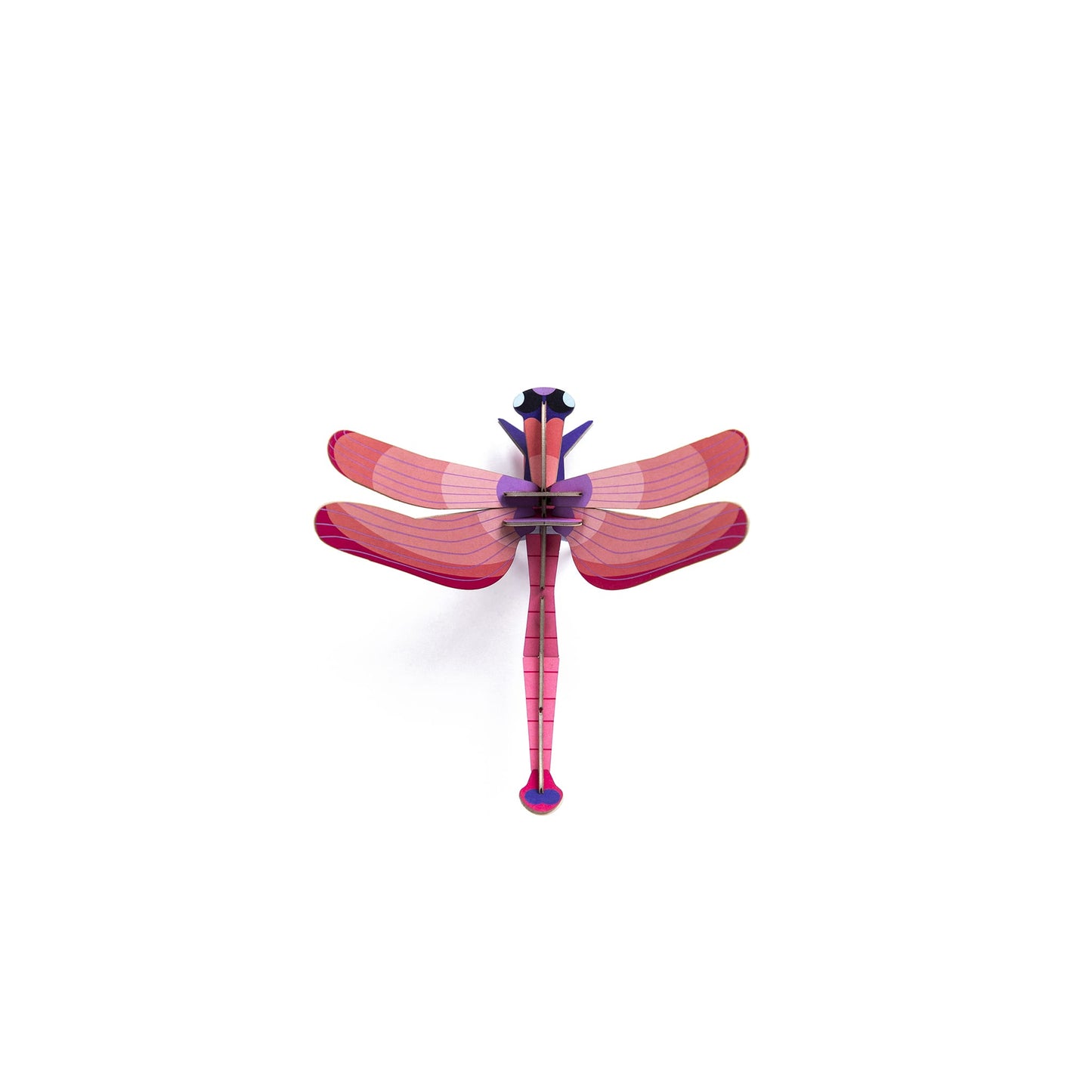 Ruby Dragonfly