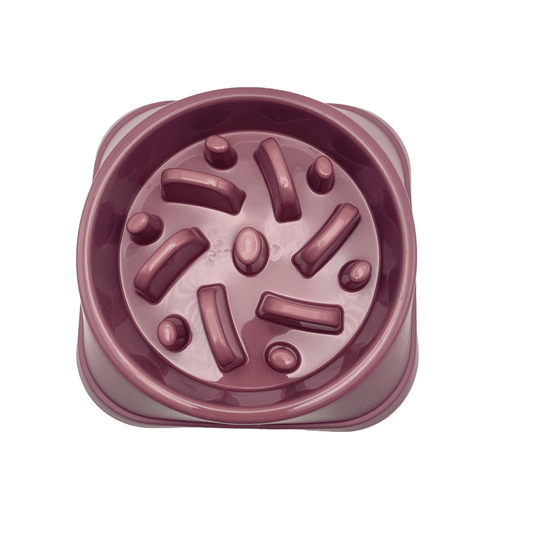 Gamelle Amusante pour Chien – Anti-obésité, Anti-étouffement et Antidérapante