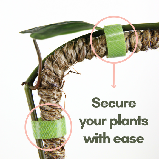 Reusable Plant Tape